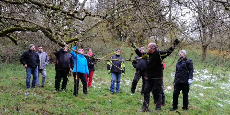 20260112 Beitragsbild Obstbaum Schnittlehrgang Usenborn