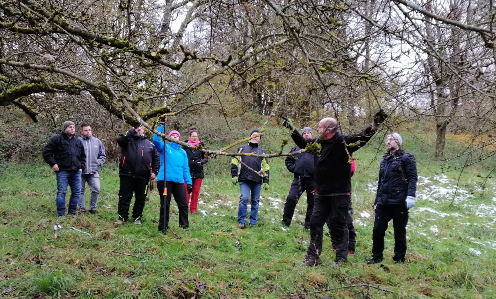 20260112 Beitragsbild Obstbaum Schnittlehrgang Usenborn
