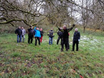 20260112 Obsbaumschnitt Lehrgang Usenborn