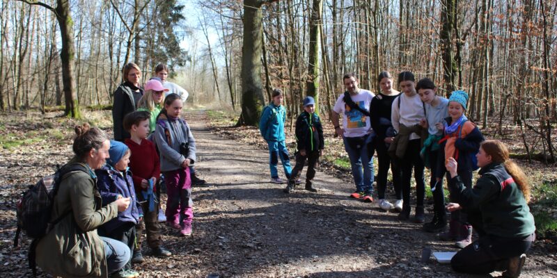 Naturdetektive Geiss-Nidda auf Spurensuche im Frühlingswald